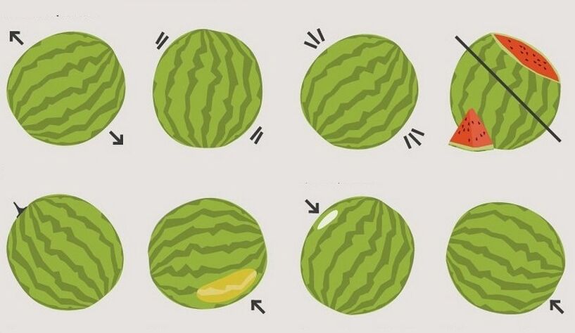 cara memilih tembikai